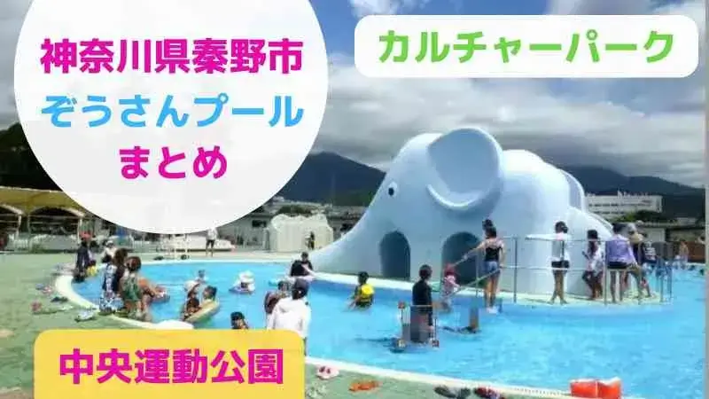 神奈川県秦野市の人気の「ぞうさんプール」が楽しい！カルチャーパークの中央運動公園内
