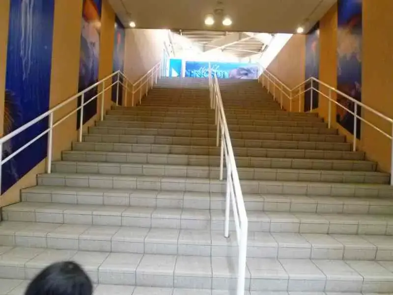 新江ノ島水族館の階段
