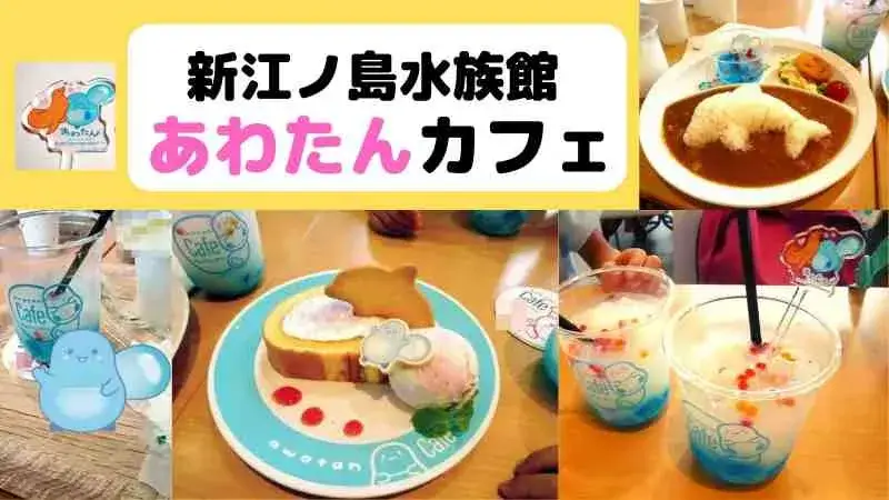 新江ノ島水族館の「あわたんカフェ」で美味しいランチ！