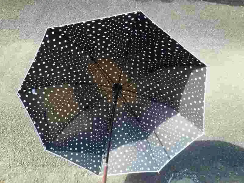 SCENTE Online Storeの女性用雨傘を開いた写真