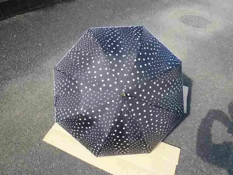 SCENTE Online Storeの女性用雨傘は丸みのあるバードケージ型