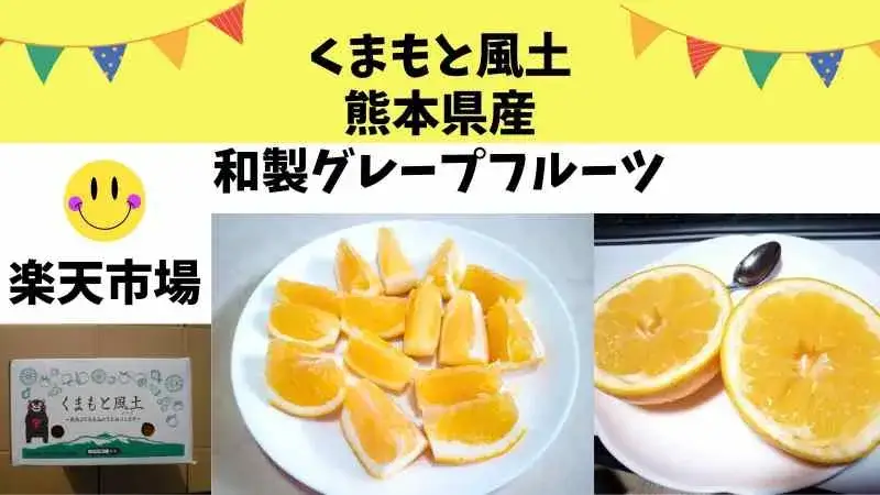 【くまもと風土】河内晩柑 1.5kg 送料無料！みずみずしい和製グレープフルーツ！PR