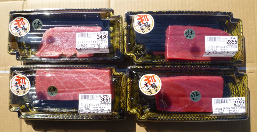 2026年の大間のマグロ