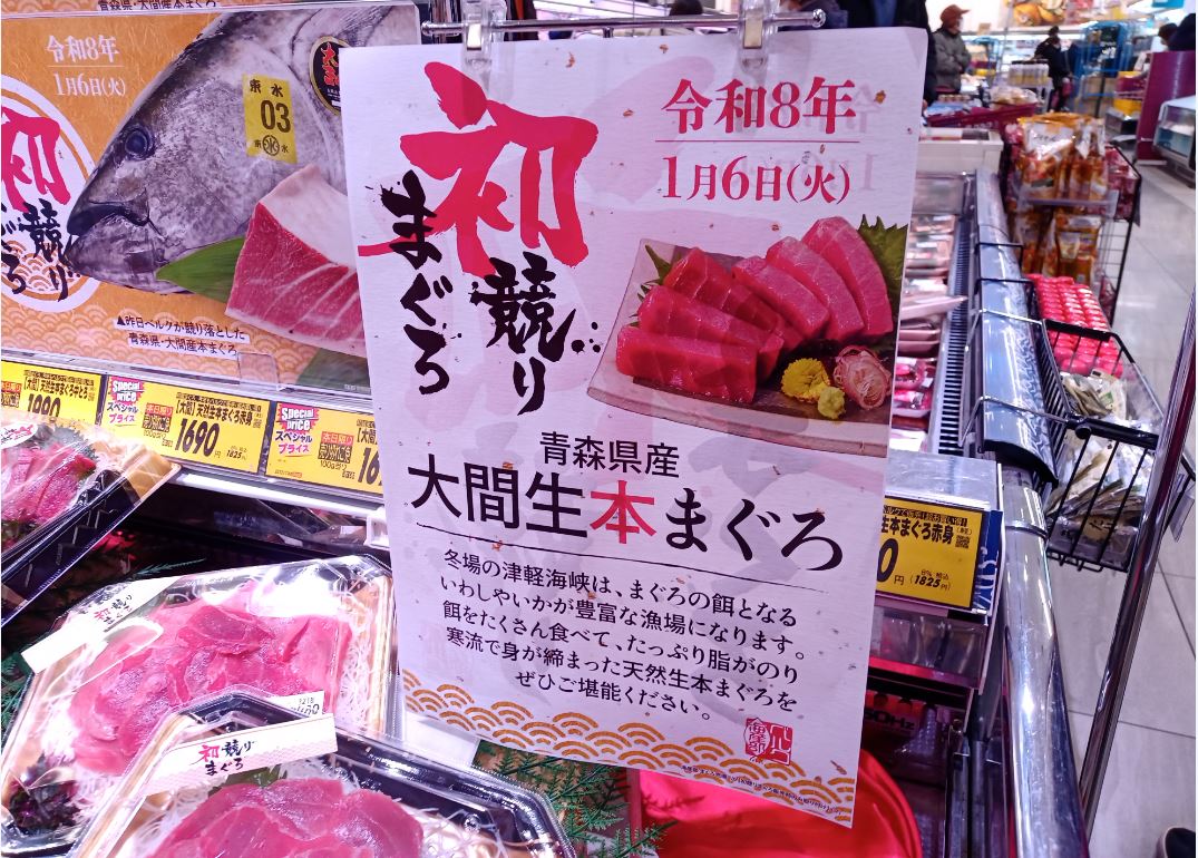 なぜ美味しい？大間のマグロ